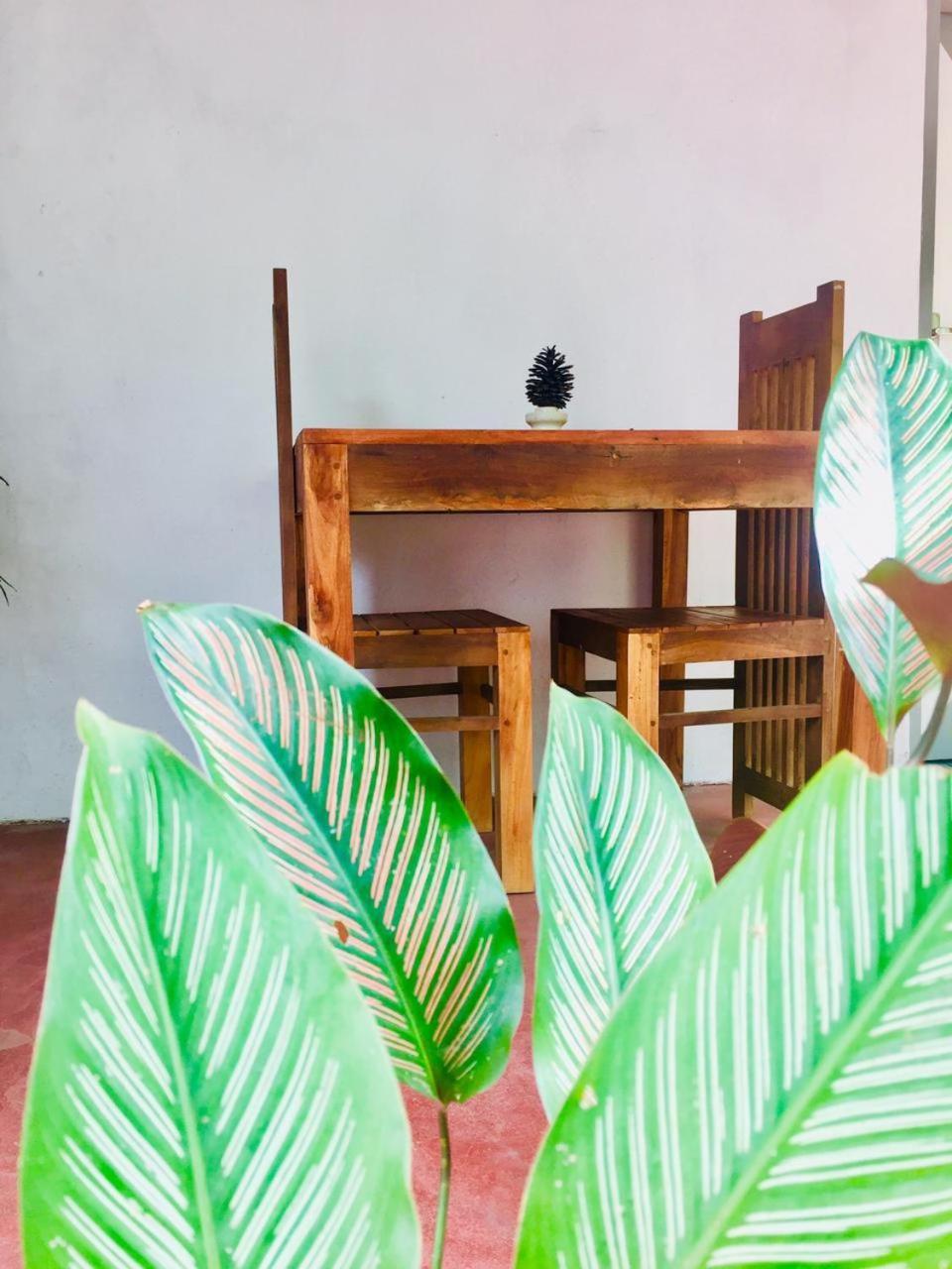 Ostello Surf Resort Ahangama Bagian luar foto